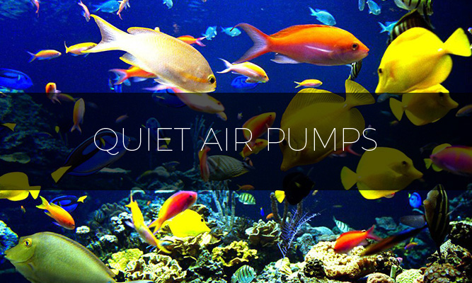 The Quietest Air Pumps Reviews & Buyers Guide