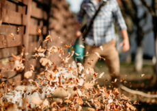 9 Of The Best Quiet Leaf Blowers for 2022