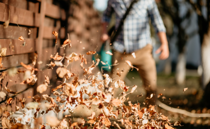 9 Of The Best Quiet Leaf Blowers for 2022