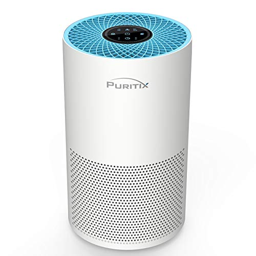 PURITIX Air Purifier with True HEPA, 23dB Quiet Desktop Air Purifier with Timer